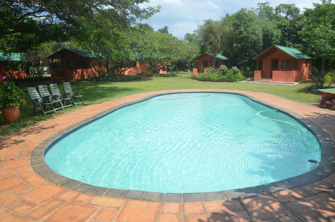 Bushbaby Lodge & Camping フルフルウェ エクステリア 写真