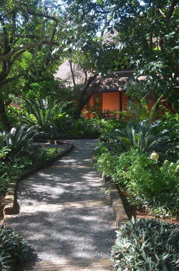 Bushbaby Lodge & Camping フルフルウェ エクステリア 写真