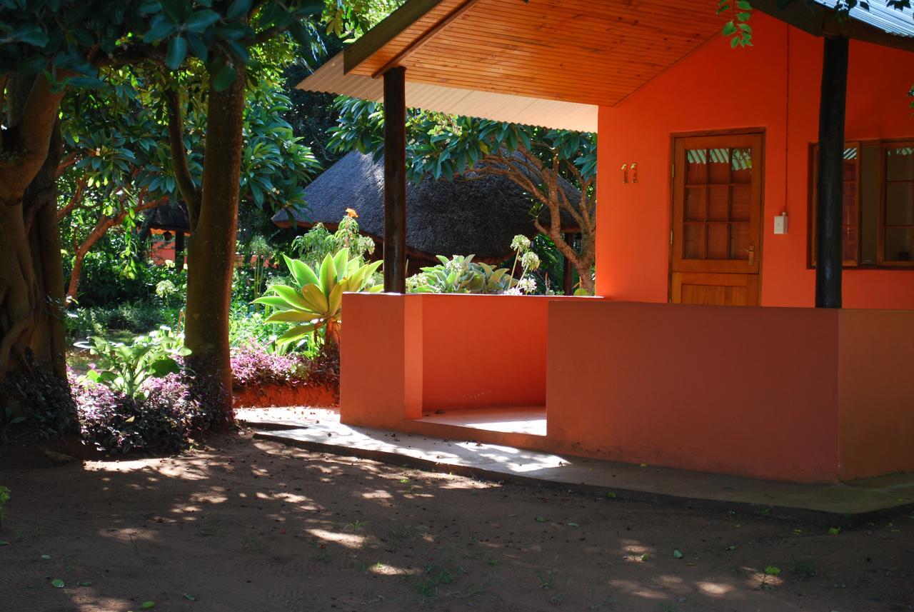 Bushbaby Lodge & Camping フルフルウェ エクステリア 写真