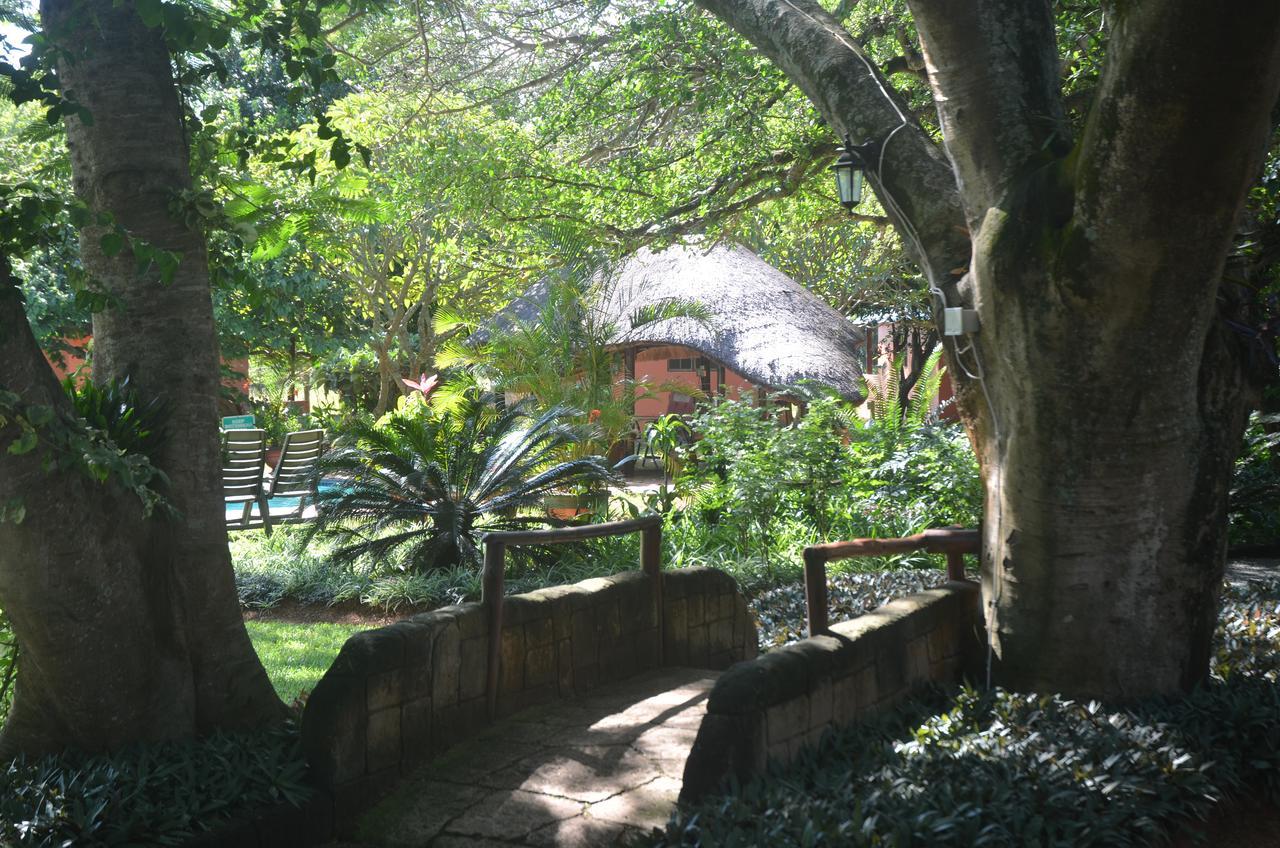 Bushbaby Lodge & Camping フルフルウェ エクステリア 写真