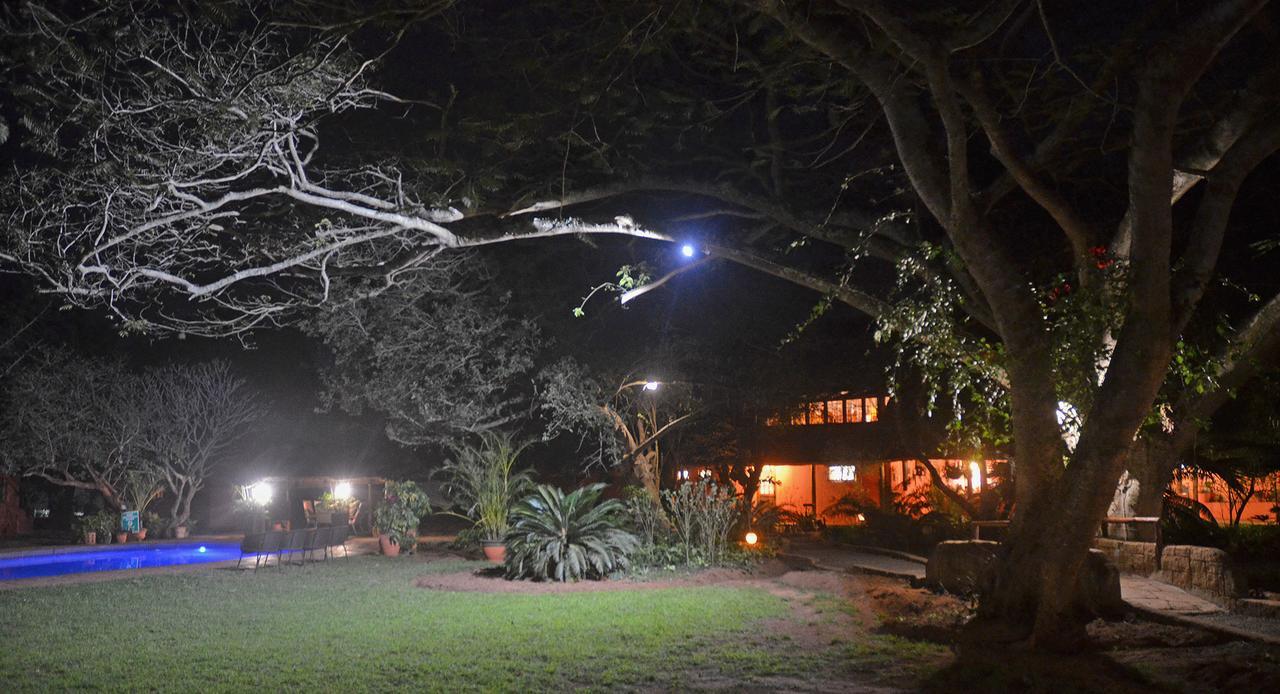 Bushbaby Lodge & Camping フルフルウェ エクステリア 写真