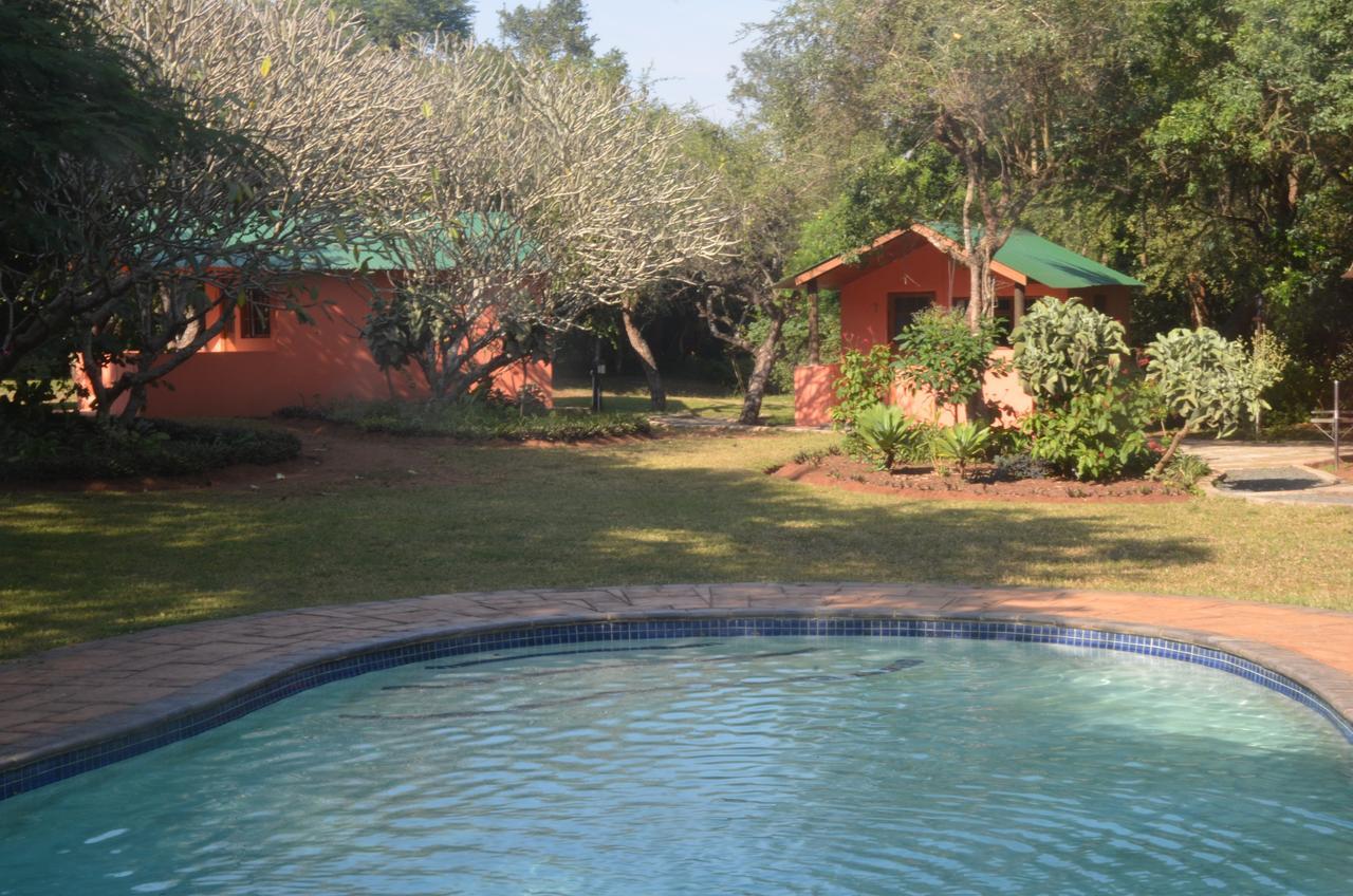 Bushbaby Lodge & Camping フルフルウェ エクステリア 写真